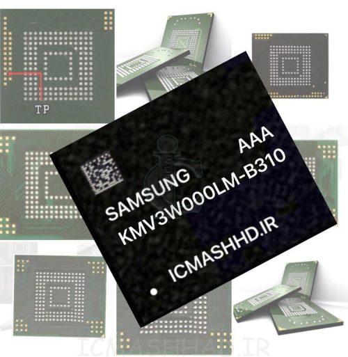 B310