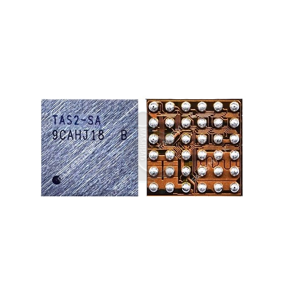 TAS2-SA آی سی صدا