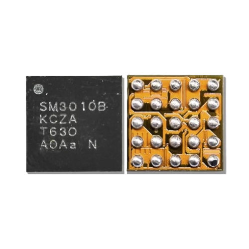 Ic Sm3010B