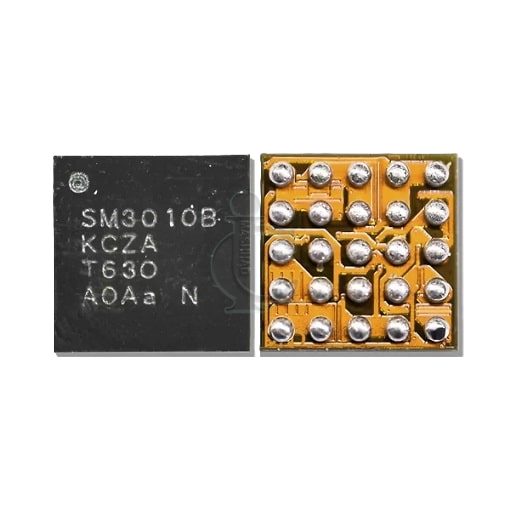 ic SM3010B